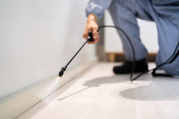 Licensed Termite Control service in St. Clair Shores, MI - Nex Pest Control