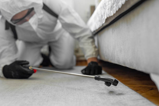 Professional Termite Control technician working in St. Clair Shores, MI