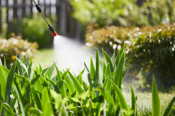 24/7 Emergency Termite Control experts in St. Clair Shores, MI