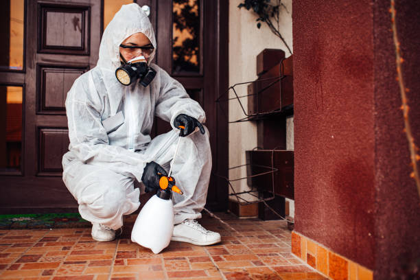 Reliable Termite Control contractor in St. Clair Shores, MI by Nex Pest Control