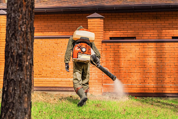 Trusted Termite Control service in St. Clair Shores, MI - Nex Pest Control